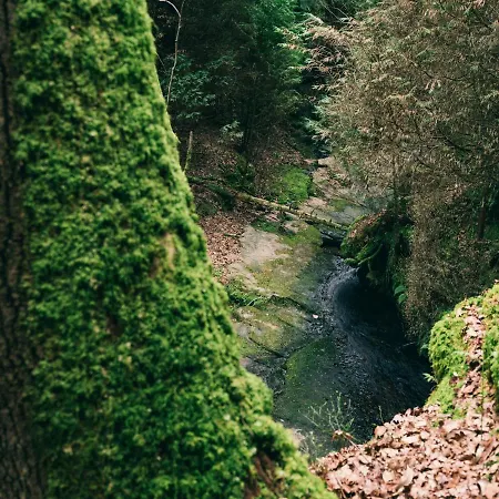 Nafarrola - Gastronomy & Wine (adults Only) 4*