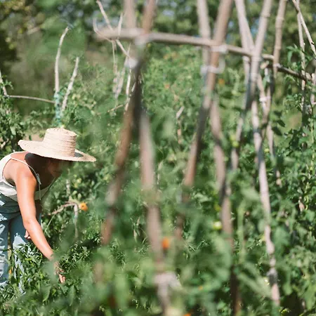Nafarrola - Gastronomy & Wine (adults Only) Bermeo