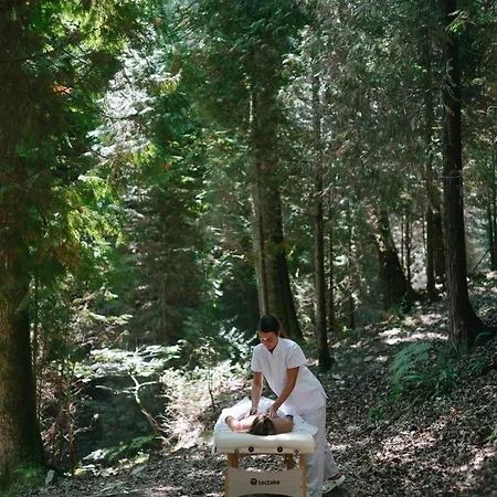 Nafarrola - Gastronomy & Wine (adults Only) Bermeo