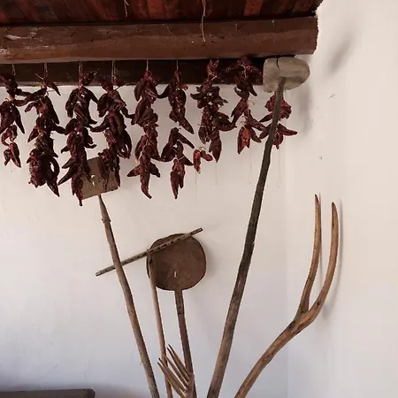 Nafarrola - Gastronomy & Wine (adults Only) 4* Μπερμέο